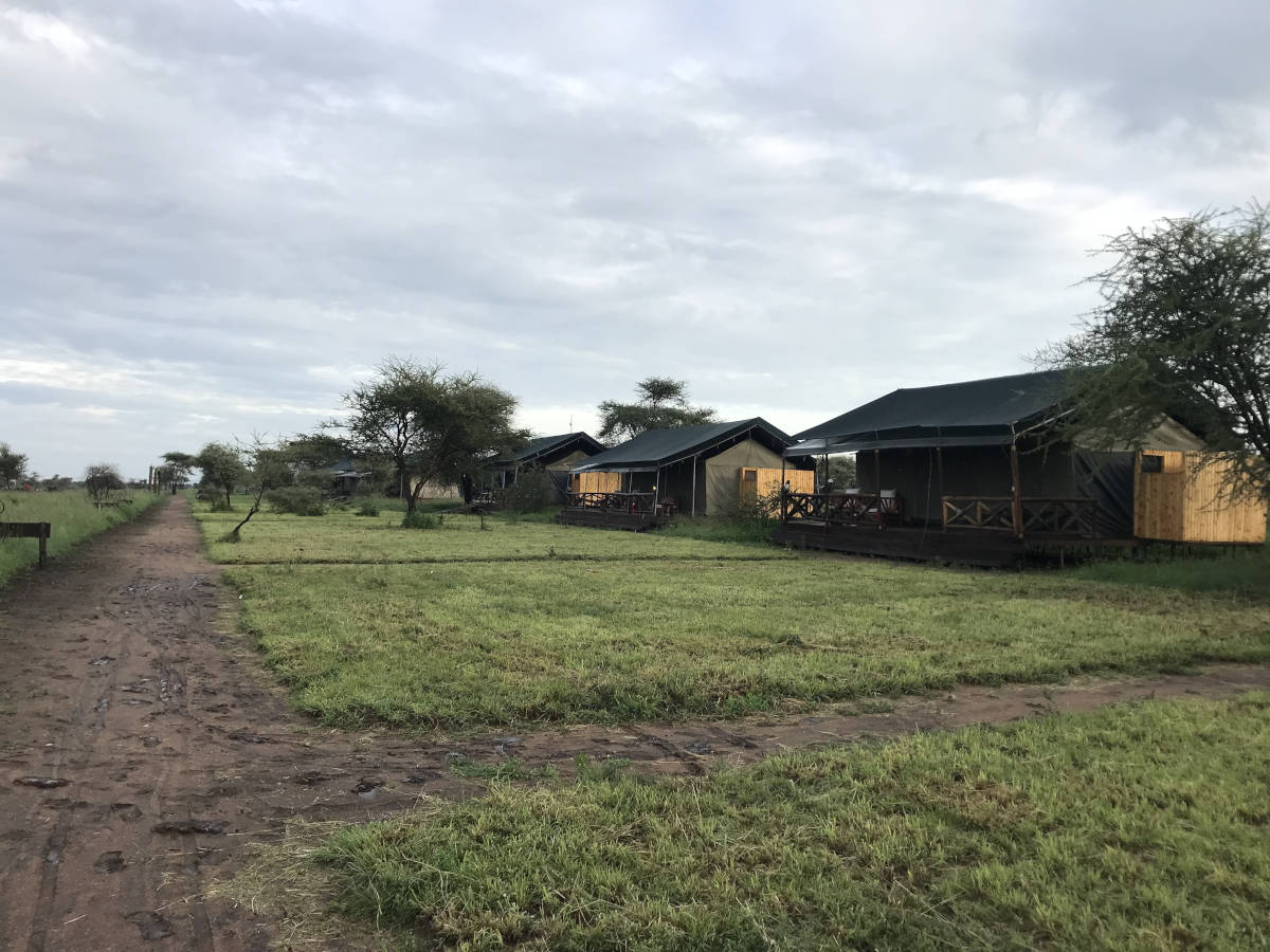 Maricky's Safaris - Luxury tented camp in Serengeti National Park