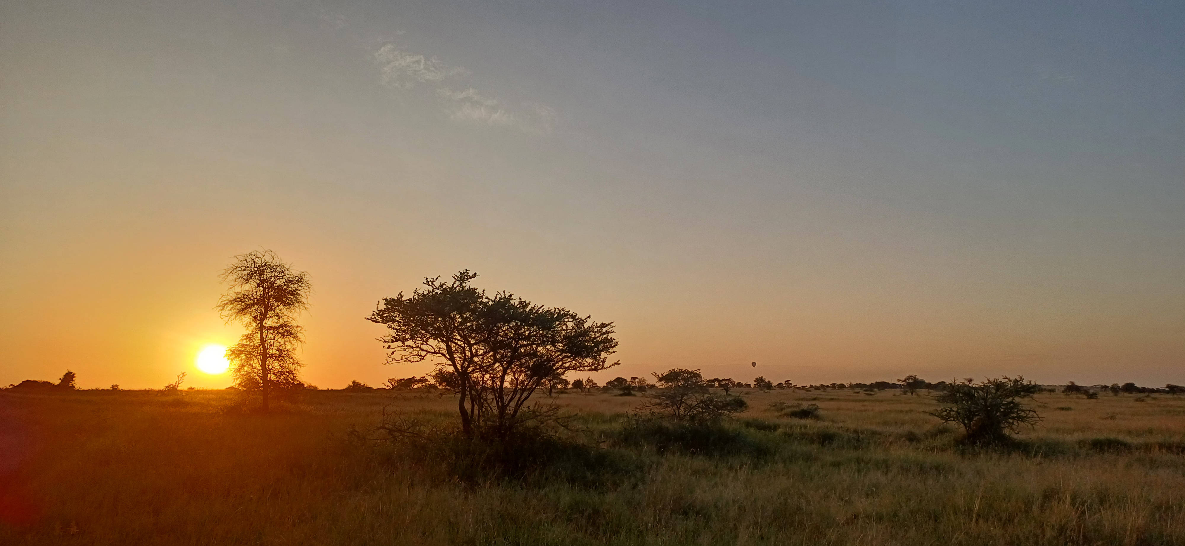 Maricky's Safaris - Package Sunrise on the Savannah - Serengenti National Park.