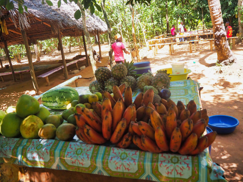 Maricky's Safaris - zanzibar/marickys safaris zanzibar spice farm fruits